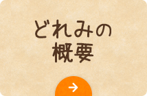 どれみの概要